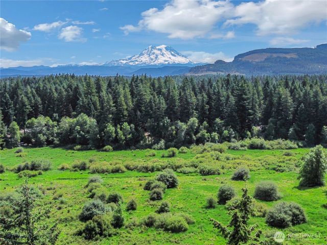 17642 Vine Lane SE, Yelm, WA 98597
