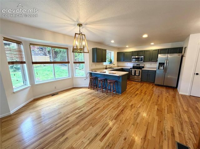 1529 Chutney Court, Colorado Springs, CO 80907