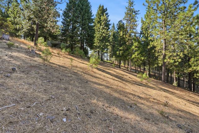1235 Naturewood Drive, Meadow Vista, CA 95722