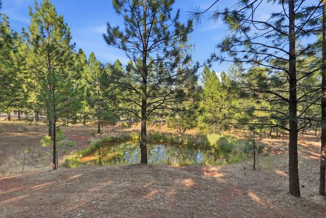 1235 Naturewood Drive, Meadow Vista, CA 95722