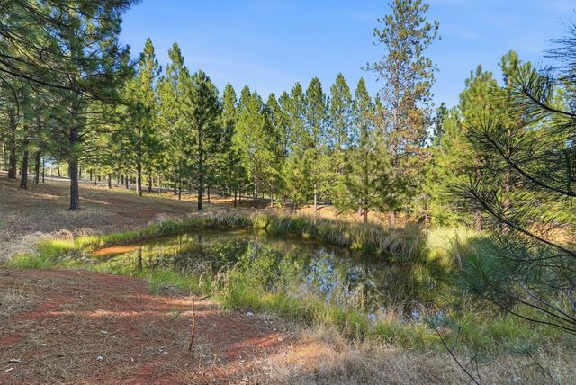 1235 Naturewood Drive, Meadow Vista, CA 95722