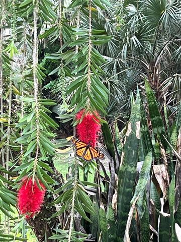 2111 ROCKY BLUFF COURT, Oviedo, FL 32765