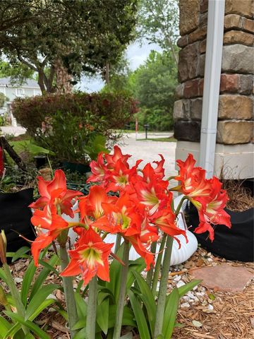 2111 ROCKY BLUFF COURT, Oviedo, FL 32765