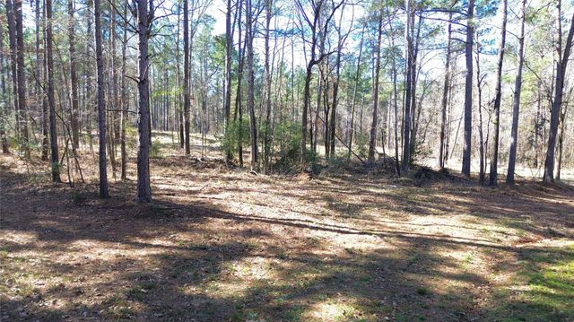 TBD Fm 227, Kennard, TX 75847