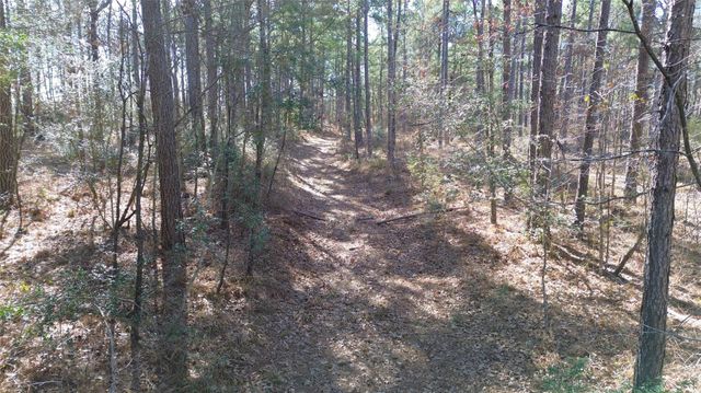 TBD Fm 227, Kennard, TX 75847