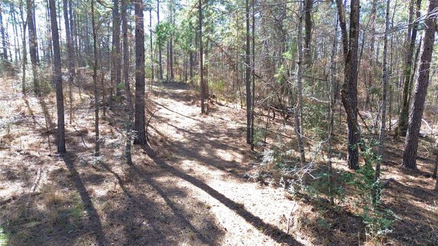 TBD Fm 227, Kennard, TX 75847