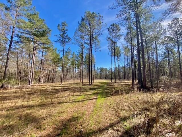 TBD Fm 227, Kennard, TX 75847