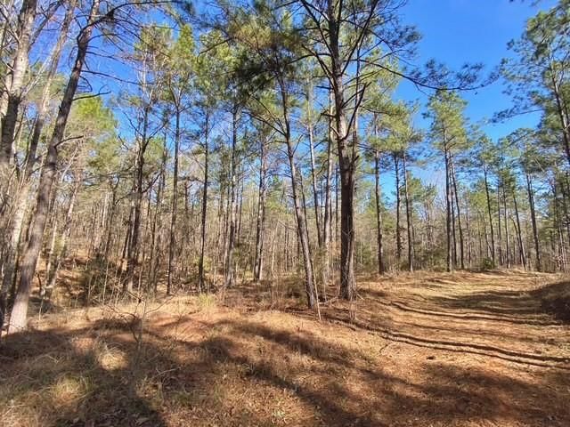 TBD Fm 227, Kennard, TX 75847