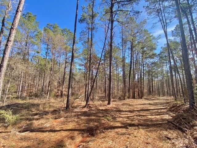 TBD Fm 227, Kennard, TX 75847