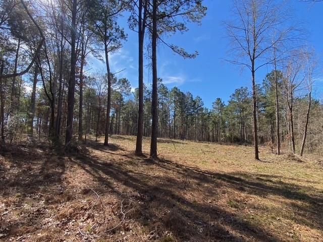 TBD Fm 227, Kennard, TX 75847