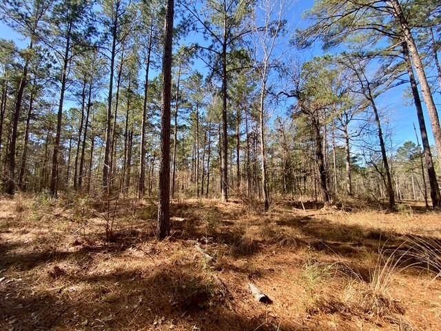 TBD Fm 227, Kennard, TX 75847