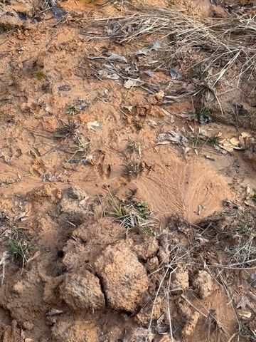 TBD Fm 227, Kennard, TX 75847