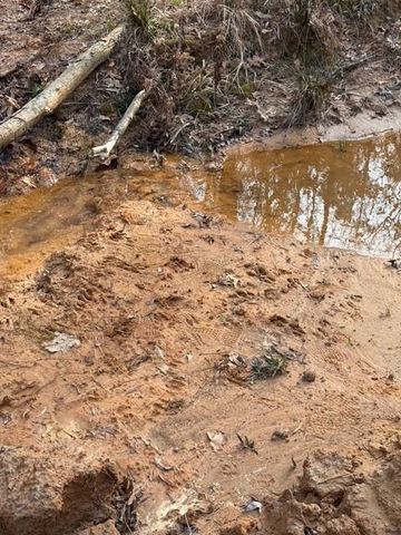 TBD Fm 227, Kennard, TX 75847