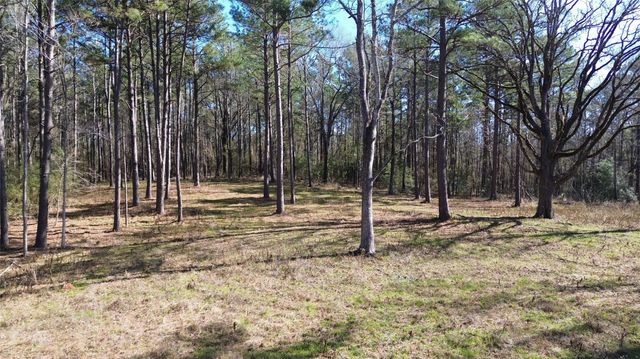 TBD Fm 227, Kennard, TX 75847