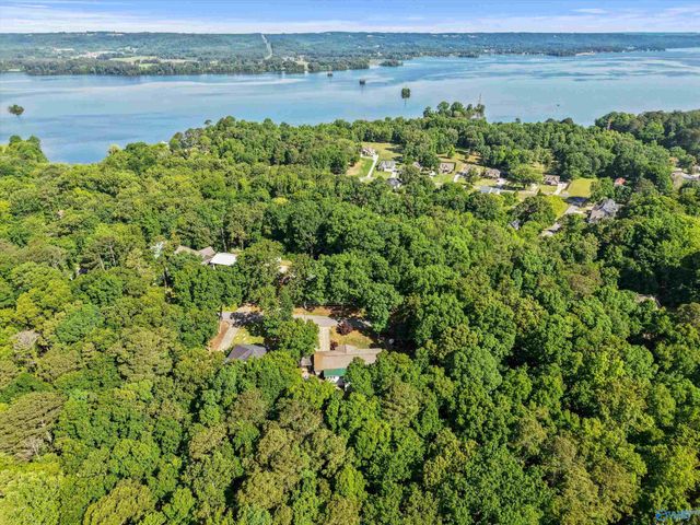 3513 Cedar Lane, Guntersville, AL 35976