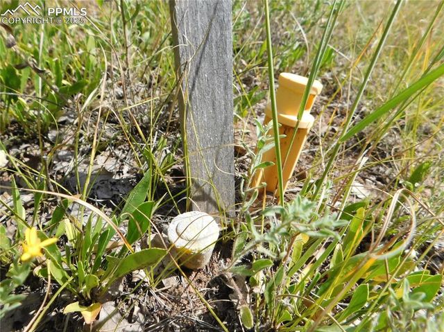 5967 Country Club Drive, Larkspur, CO 80118