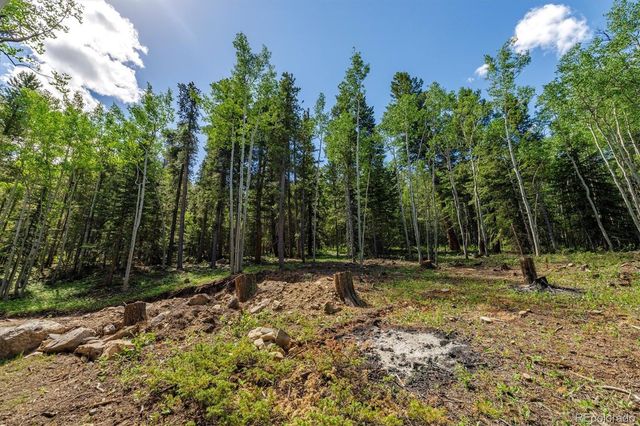 3450 Smith Hill Road, Black Hawk, CO 80422