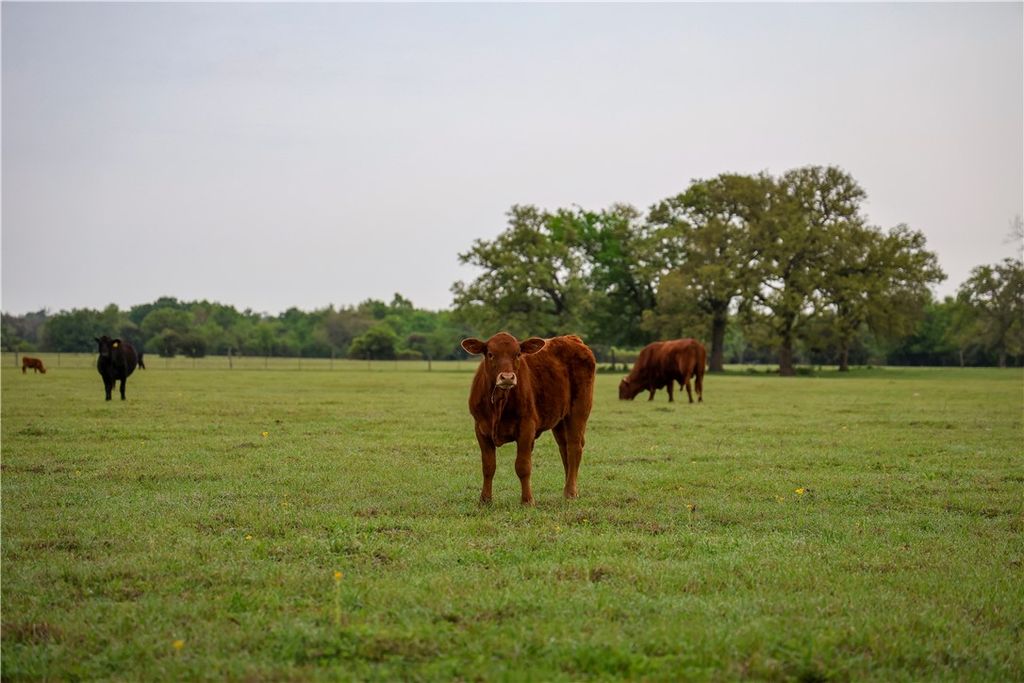 930 County Road 357 County Road 357, Gause, TX 77857 — photo 2