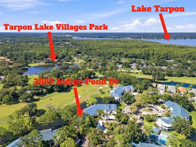 3587 INDIGO POND DRIVE 3587, Palm Harbor, FL 34685