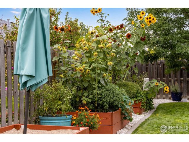 4261 Alder Creek Ln, Wellington, CO 80549