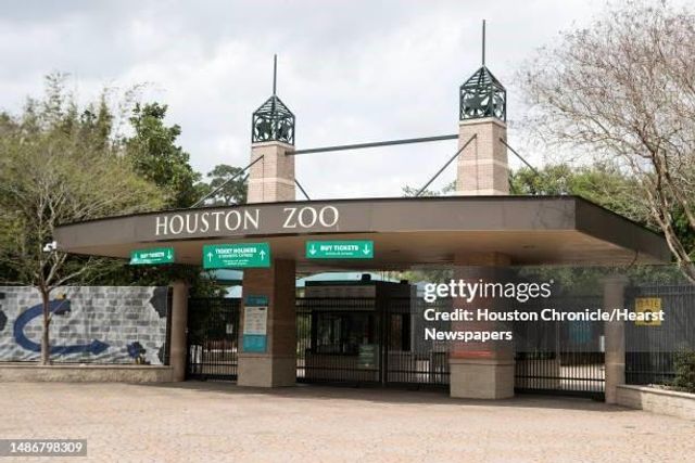 1711 Old Spanish Trail 419, Houston, TX 77054