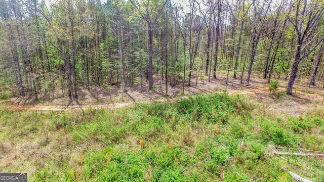 2185 Highway 85, Senoia, GA 30276