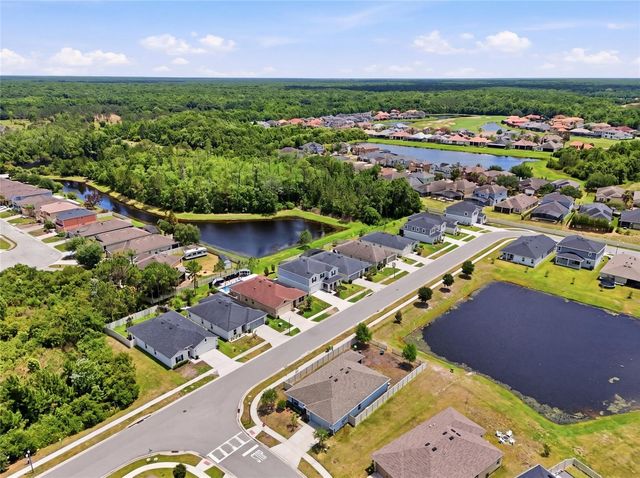 1185 AUGUSTUS DRIVE, Davenport, FL 33896