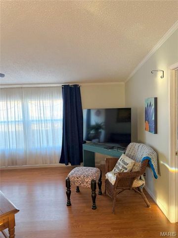 11274 Branding Stone Drive, Lebanon, IL 62254