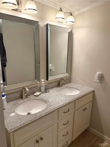 11274 Branding Stone Drive, Lebanon, IL 62254