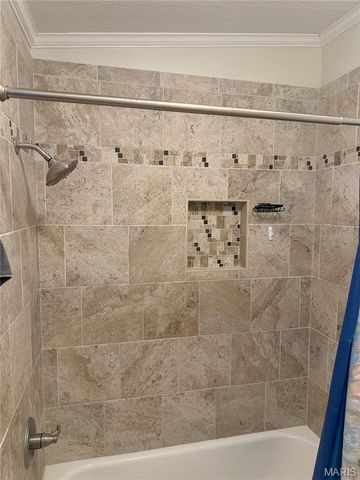 11274 Branding Stone Drive, Lebanon, IL 62254