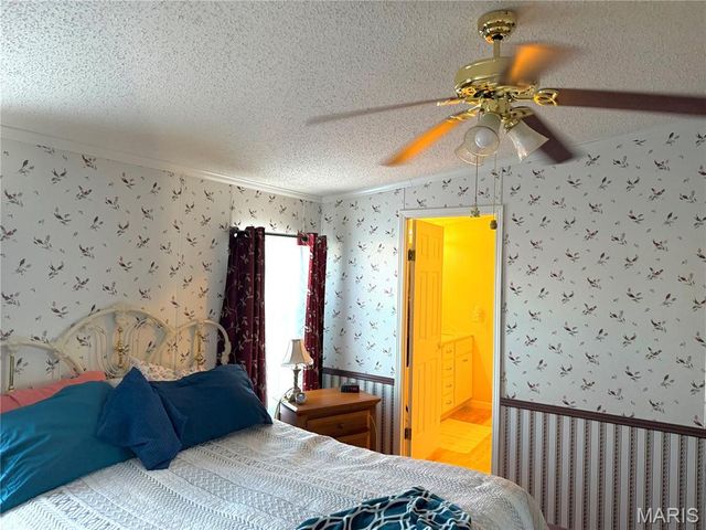 11274 Branding Stone Drive, Lebanon, IL 62254