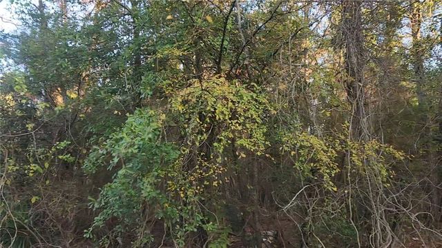 Lot 7 Sweetleaf Lane, Plantersville, TX 77363