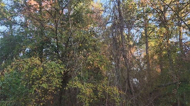 Lot 7 Sweetleaf Lane, Plantersville, TX 77363