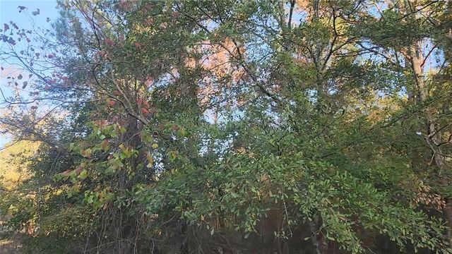 Lot 7 Sweetleaf Lane, Plantersville, TX 77363