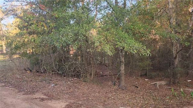 Lot 7 Sweetleaf Lane, Plantersville, TX 77363