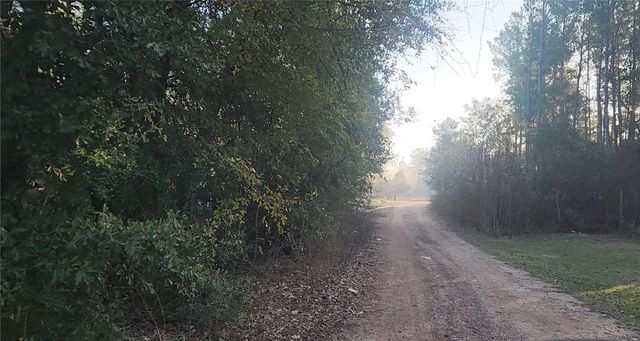 Lot 7 Sweetleaf Lane, Plantersville, TX 77363