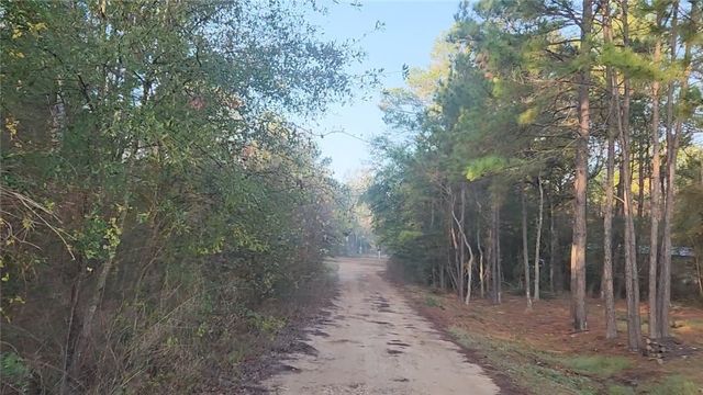 Lot 7 Sweetleaf Lane, Plantersville, TX 77363
