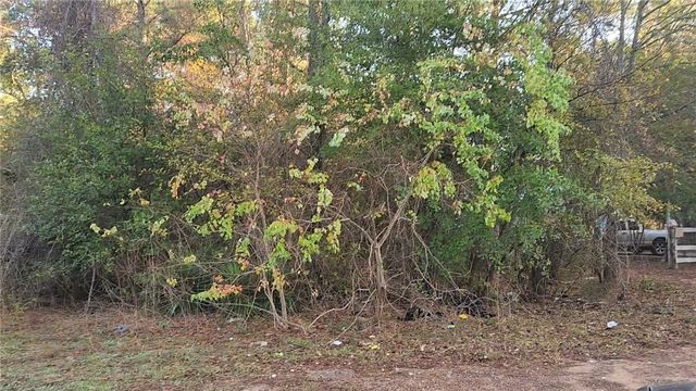 Lot 7 Sweetleaf Lane, Plantersville, TX 77363