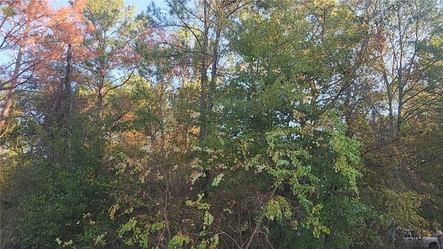 Lot 7 Sweetleaf Lane, Plantersville, TX 77363
