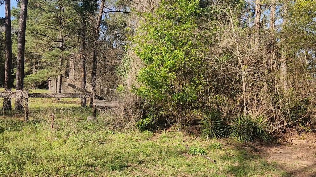 Lot 7 Sweetleaf Lane, Plantersville, TX 77363 — photo 2