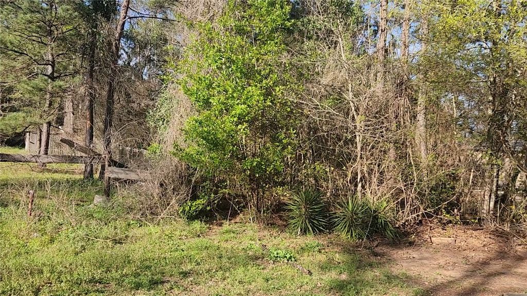 Lot 7 Sweetleaf Lane, Plantersville, TX 77363 — photo 3