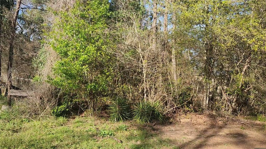 Lot 7 Sweetleaf Lane, Plantersville, TX 77363 — photo 4