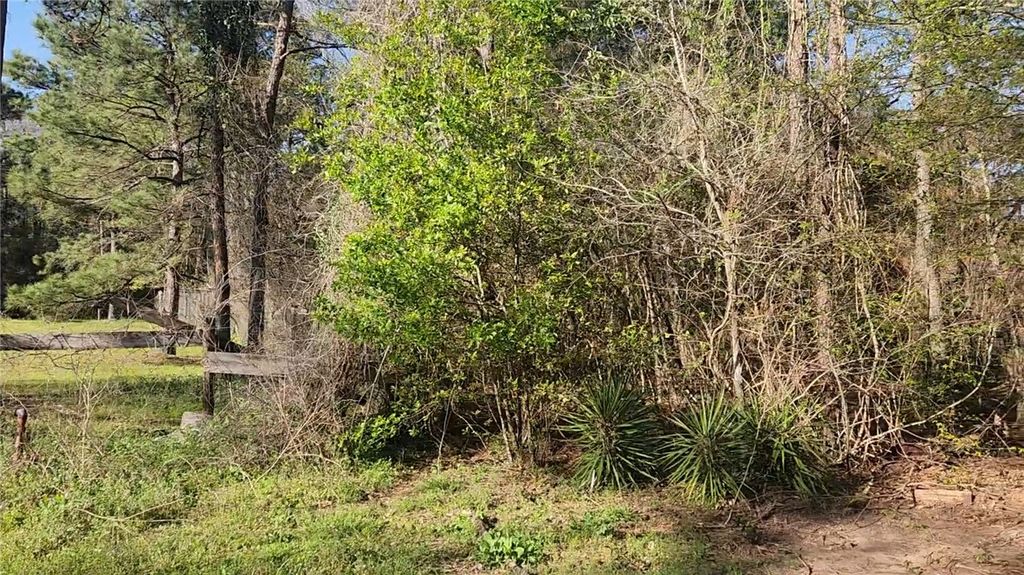 Lot 7 Sweetleaf Lane, Plantersville, TX 77363 — photo 5