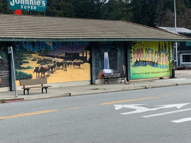 615 Heartwood, Boulder Creek, CA 95006