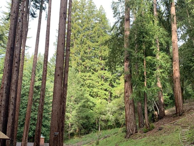 615 Heartwood, Boulder Creek, CA 95006