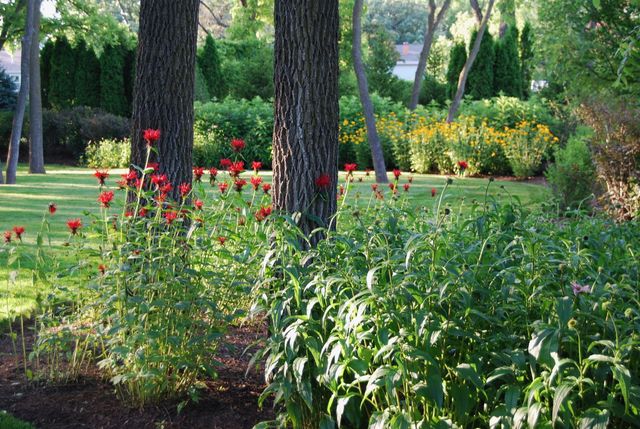 28360 Heritage Oak Road, Barrington, IL 60010