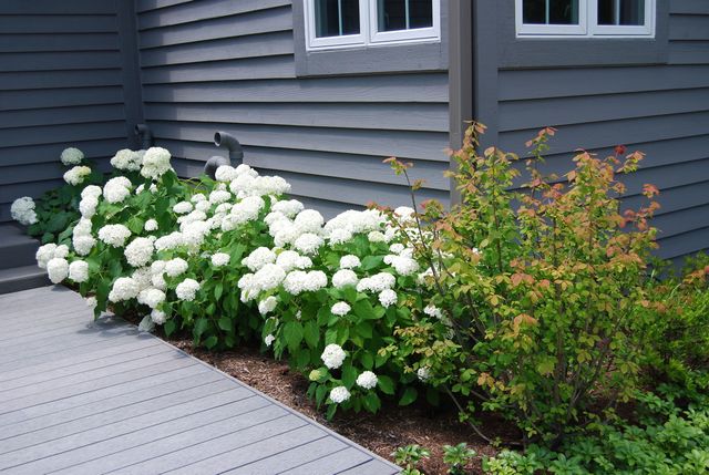 28360 Heritage Oak Road, Barrington, IL 60010