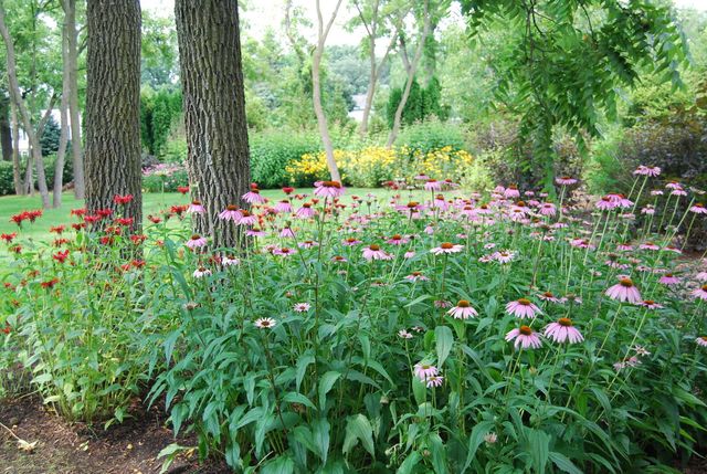 28360 Heritage Oak Road, Barrington, IL 60010