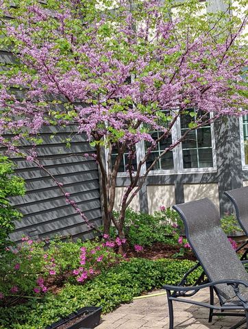 28360 Heritage Oak Road, Barrington, IL 60010