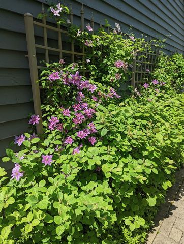 28360 Heritage Oak Road, Barrington, IL 60010